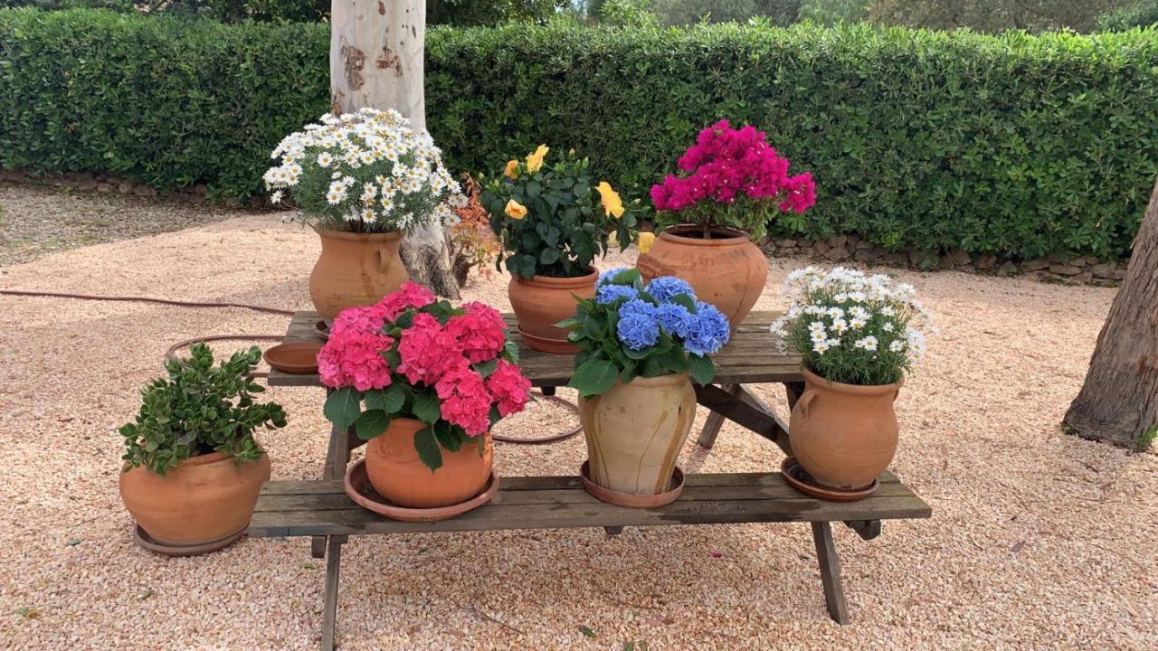 Villa Kentia Mallorca, Charming And Stylish Country House Close To Palma Exterior photo